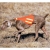 Жилет для собаки Quick Spo Safety Dog Vest Жилет для собаки Quick Spo Safety Dog Vest